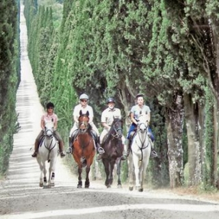 Paseo ecológico 